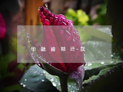 华融逾期还款 华融逾期还款