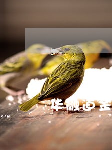 华融道金融逾期 华融道金融逾期