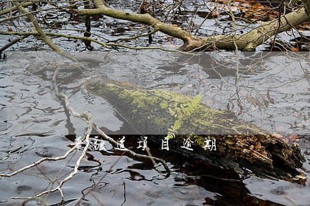 华融道项目逾期 华融道项目逾期