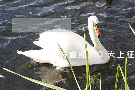 华融闪贷逾期30天上征信吗 华融闪贷逾期30天上征信吗