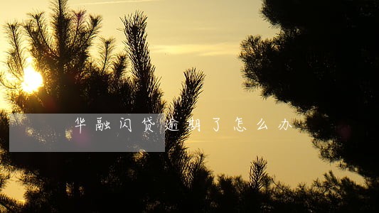 华融闪贷逾期了怎么办 华融闪贷逾期了怎么办