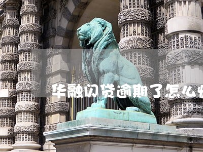 华融闪贷逾期了怎么恢复信用 华融闪贷逾期了怎么恢复信用