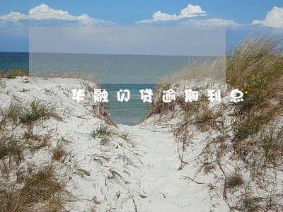 华融闪贷逾期利息 华融闪贷逾期利息