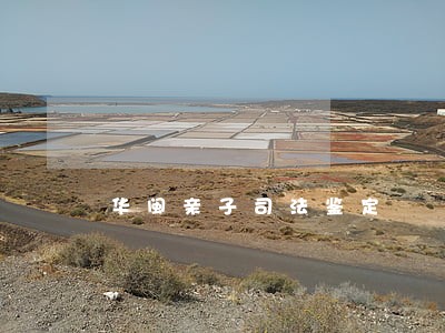 华闽亲子司法鉴定 华闽亲子司法鉴定