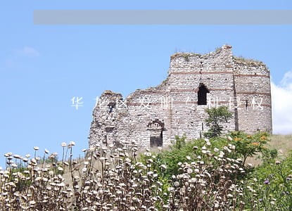 华龙区发明专利侵权律师