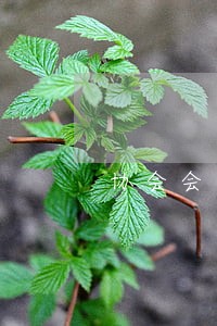 协会会员办理信用卡逾期