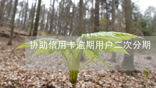 协助信用卡逾期用户二次分期 协助信用卡逾期用户二次分期