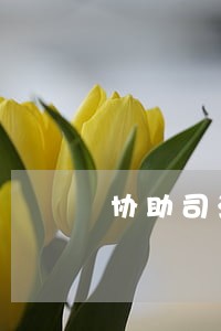 协助司法执行通知书 协助司法执行通知书