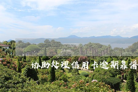 协助处理信用卡逾期靠谱吗 协助处理信用卡逾期靠谱吗