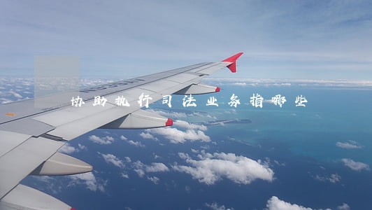 协助执行司法业务指哪些 协助执行司法业务指哪些