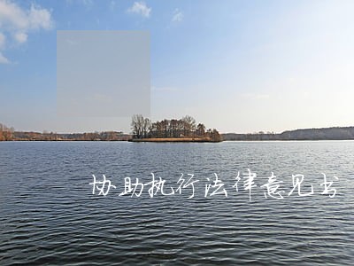 协助执行法律意见书 协助执行法律意见书
