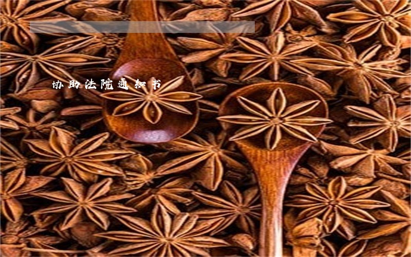 协助法院通知书 协助法院通知书