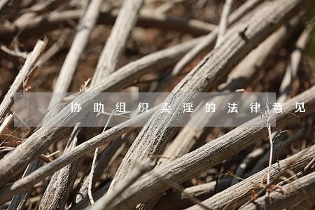 协助组织卖淫的法律意见书