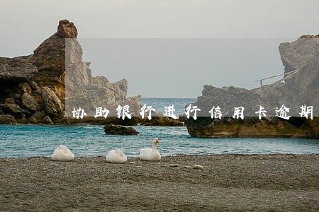 协助银行进行信用卡逾期处理工作 协助银行进行信用卡逾期处理工作