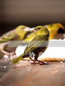 协商与走法律程序哪一个赔偿多 协商与走法律程序哪一个赔偿多