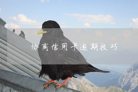 协商信用卡逾期技巧 协商信用卡逾期技巧