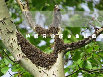 协商只归还本金注意事项 协商只归还本金注意事项