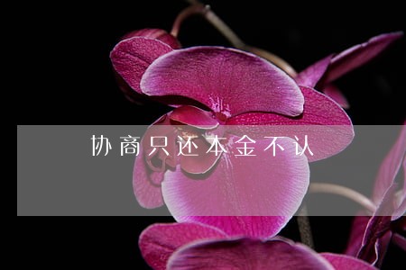 协商只还本金不认 协商只还本金不认