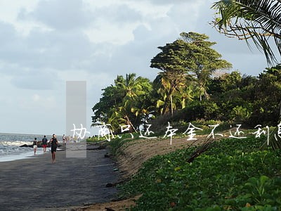 协商只还本金不还利息可以吗 协商只还本金不还利息可以吗