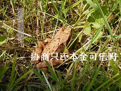 协商只还本金可信吗 协商只还本金可信吗