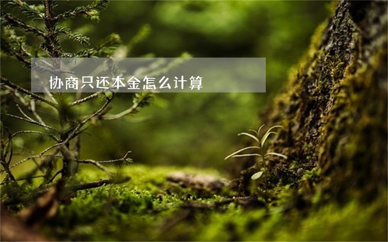 协商只还本金怎么计算 协商只还本金怎么计算