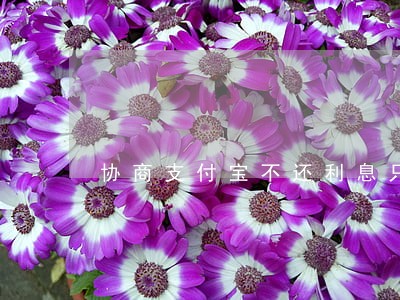 协商支付宝不还利息只还本金 协商支付宝不还利息只还本金