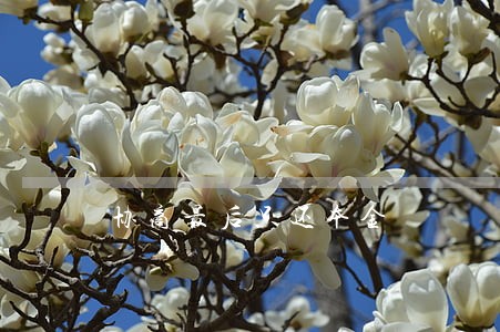 协商最后只还本金 协商最后只还本金