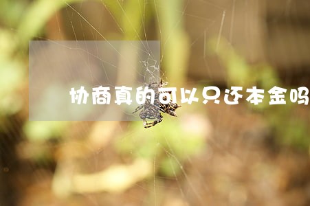 协商真的可以只还本金吗 协商真的可以只还本金吗