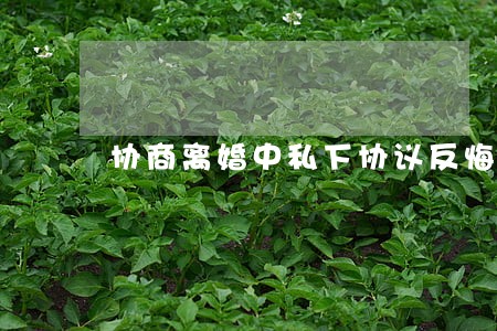协商离婚中私下协议反悔 协商离婚中私下协议反悔