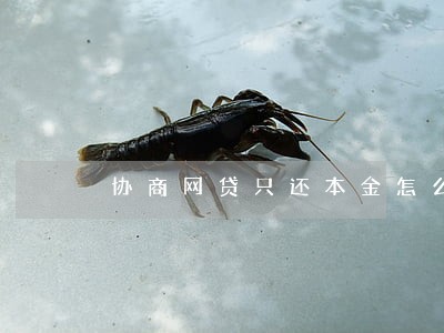 协商网贷只还本金怎么操作 协商网贷只还本金怎么操作
