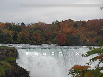 协商解决是什么序