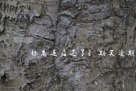 协商过后还了2期又逾期了怎么办 协商过后还了2期又逾期了怎么办