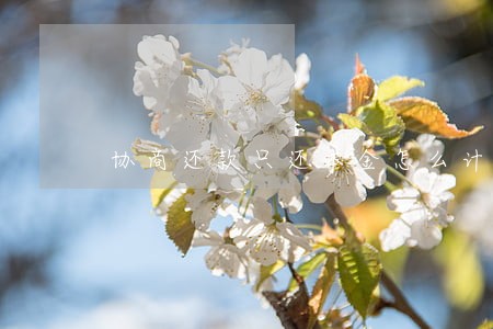 协商还款只还本金怎么计算