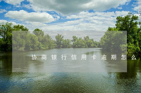 协商银行信用卡逾期怎么还