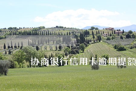 协商银行信用卡逾期提额 协商银行信用卡逾期提额