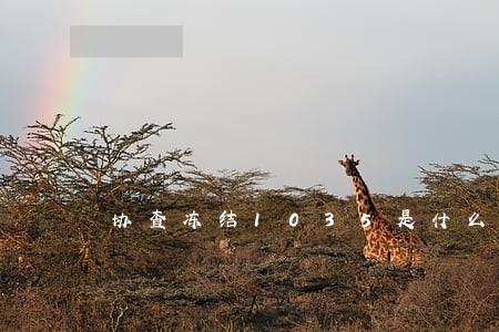 协查冻结1035是什么意思 协查冻结1035是什么意思