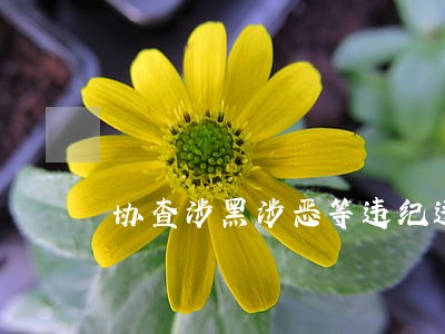 协查涉黑涉恶等违纪违法问题 协查涉黑涉恶等违纪违法问题