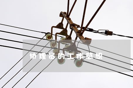 协理员的工作感想 协理员的工作感想