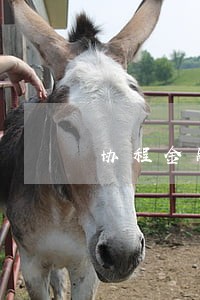 协程金融逾期9000 协程金融逾期9000