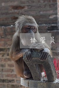 协管员帮人消交通违法记录
