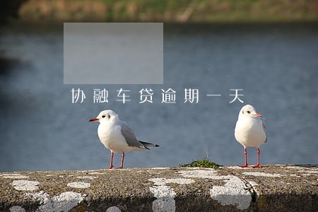 协融车贷逾期一天 协融车贷逾期一天