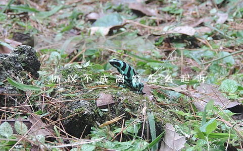 协议不成离婚怎么起诉 协议不成离婚怎么起诉