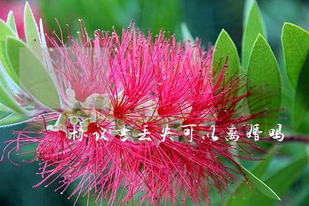 协议书丢失可以离婚吗 协议书丢失可以离婚吗