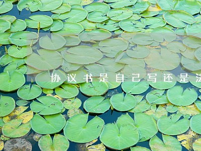 协议书是自己写还是法院写 协议书是自己写还是法院写