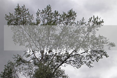 协议控制模式违法 协议控制模式违法