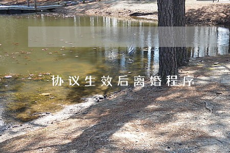 协议生效后离婚程序 协议生效后离婚程序