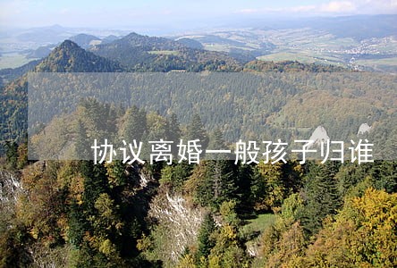 协议离婚一般孩子归谁 协议离婚一般孩子归谁