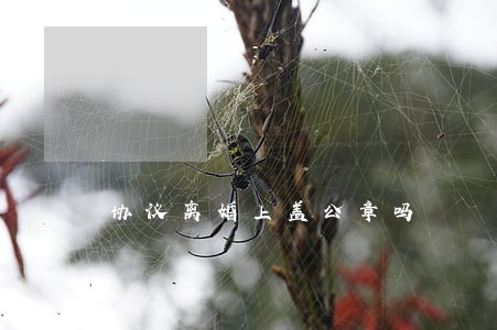 协议离婚上盖公章吗 协议离婚上盖公章吗