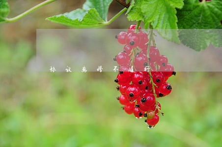 协议离婚不履行 协议离婚不履行