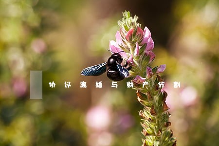 协议离婚与财产分割 协议离婚与财产分割